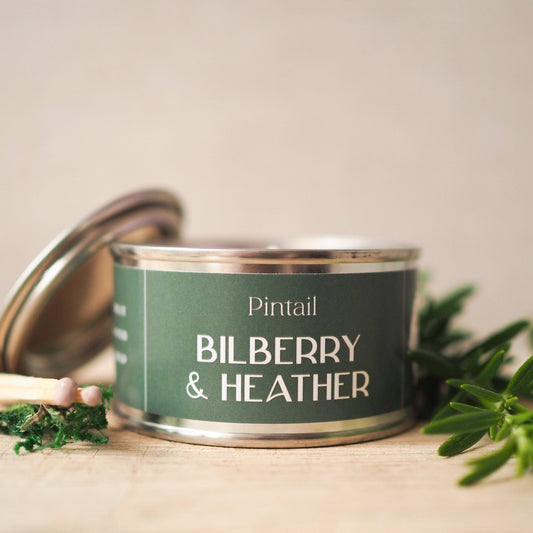 Bilberry and Heather Paint Pintail Candle