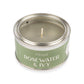Rosewater and Ivy Paint Pintail Candle