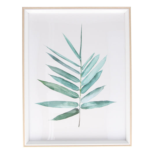 Palm Leaf Framed Print