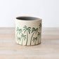 Palm Tree Plant Medium Planter