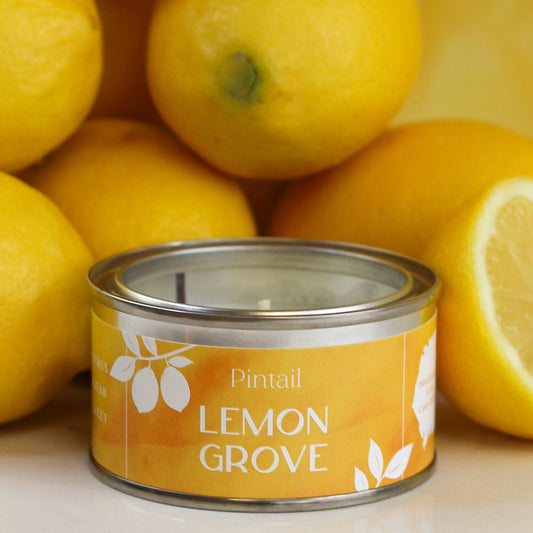 Lemon Grove Paint Pintail Candle