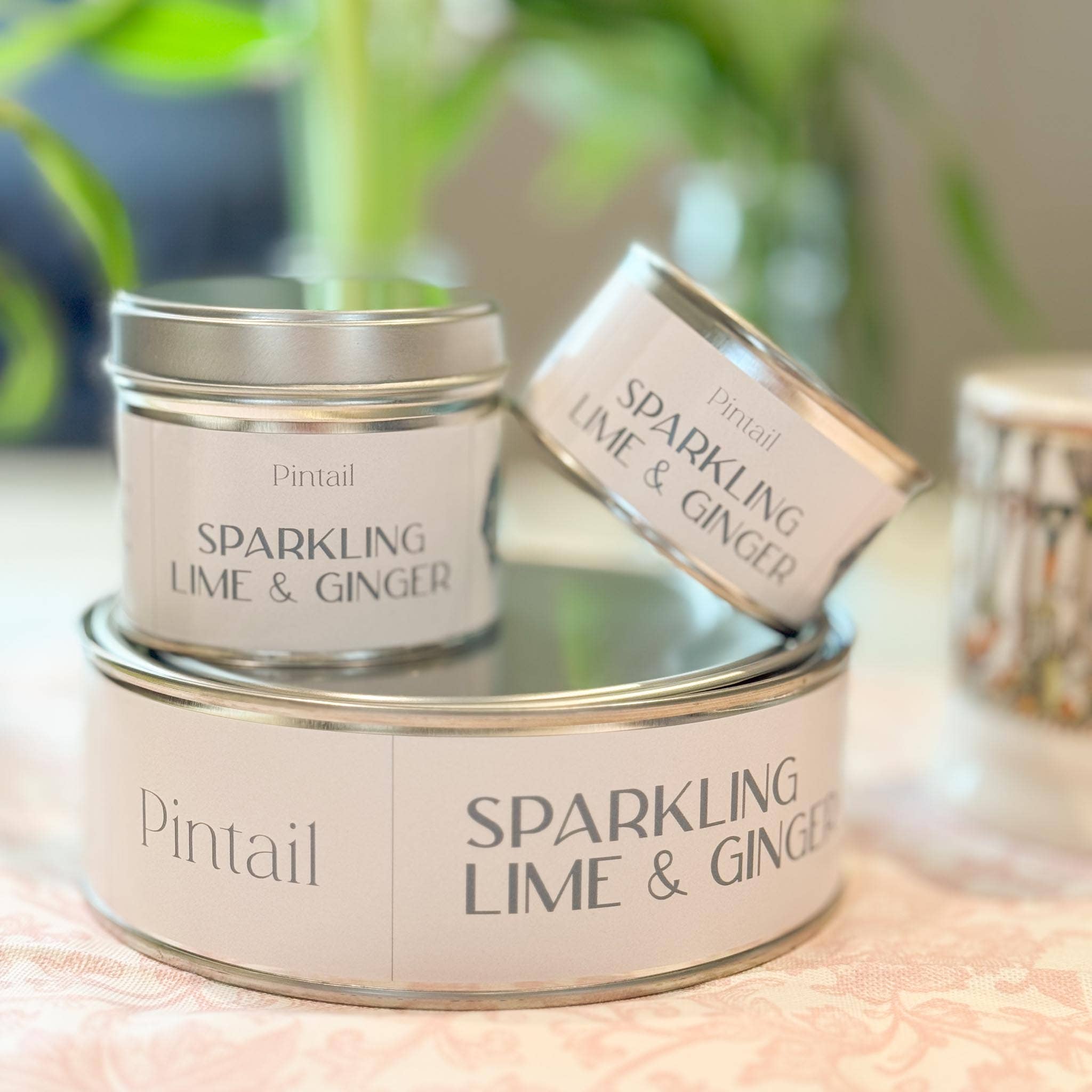 Sparkling Lime and Ginger Pintail Candle – The Interior Port