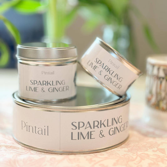 Sparkling Lime and Ginger Pintail Candle