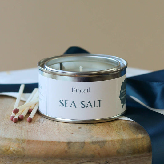 Sea Salt Paint Pot Pintail Candle