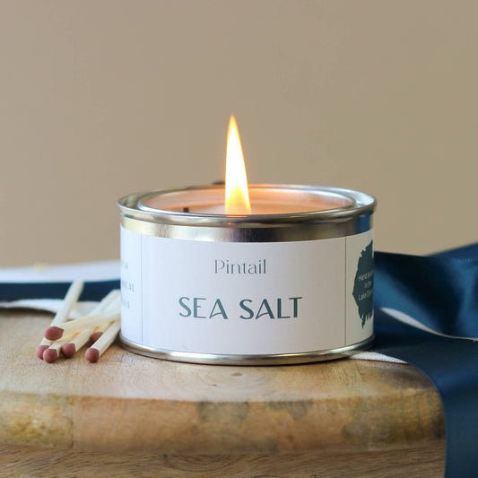 Sea Salt Paint Pot Pintail Candle