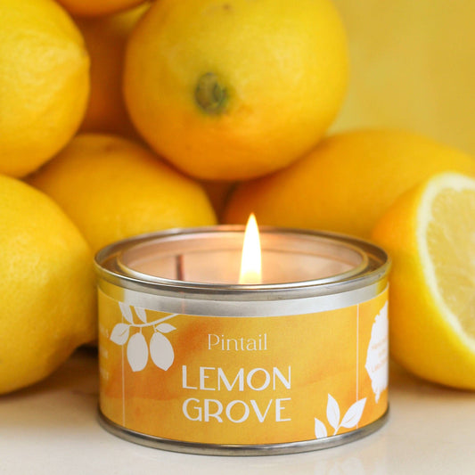 Lemon Grove Paint Pintail Candle