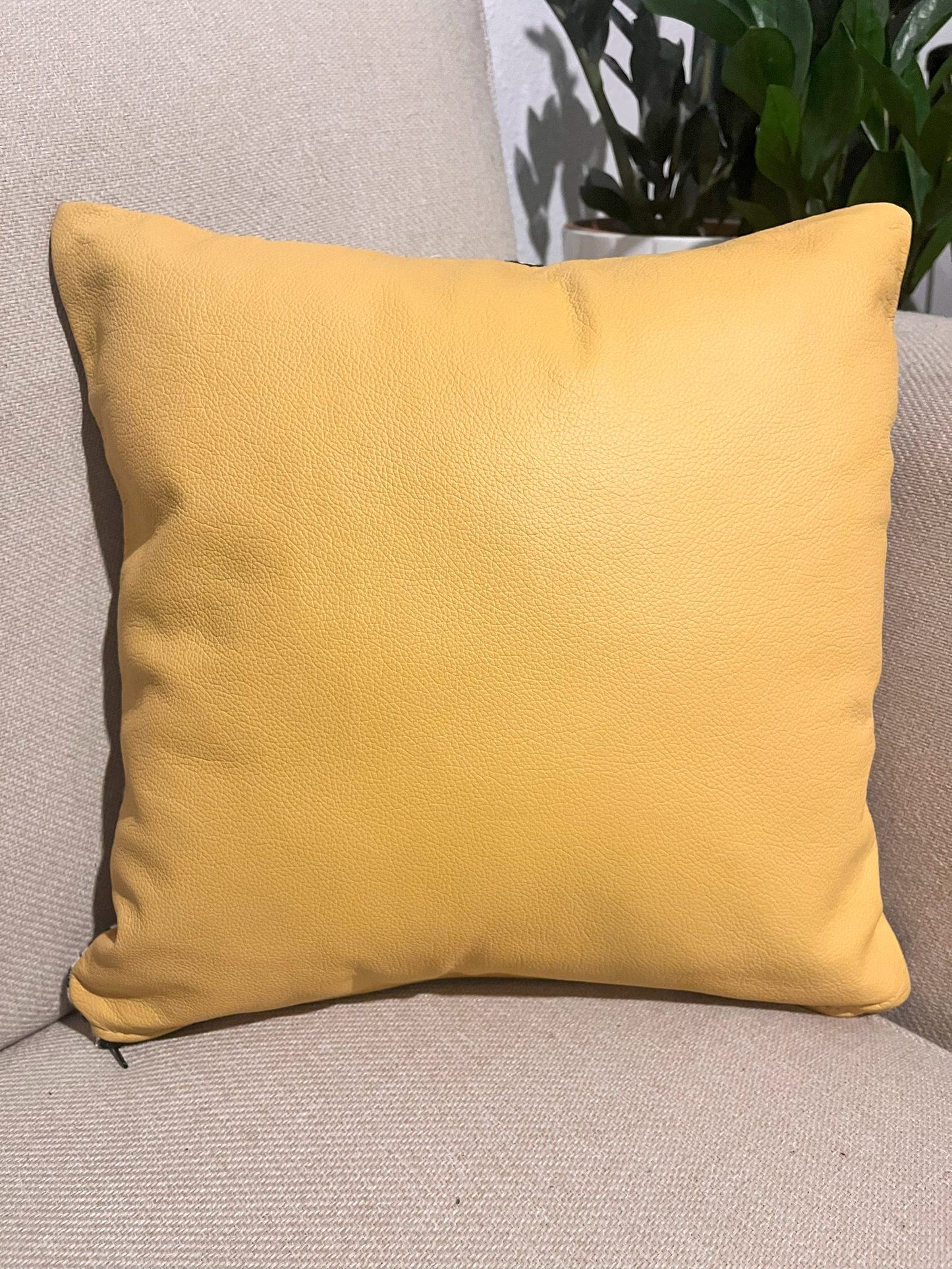 Mustard Y Cushion